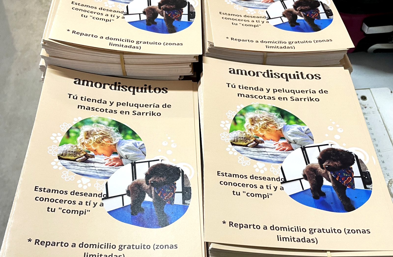 Flyers y folletos